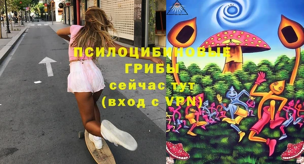 a pvp Арсеньев