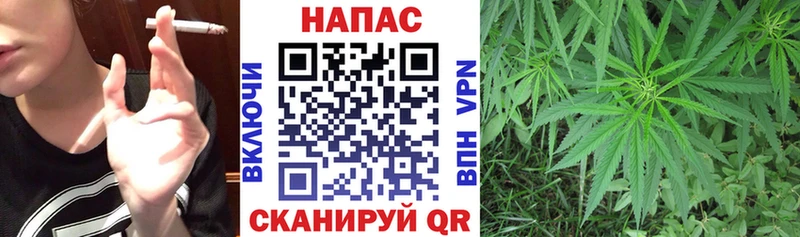 МЕГА онион  Сретенск  Бошки марихуана индика 